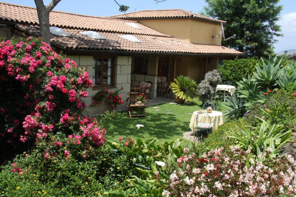 Отель Finca Casa Vieja Санта-Урсула Экстерьер фото