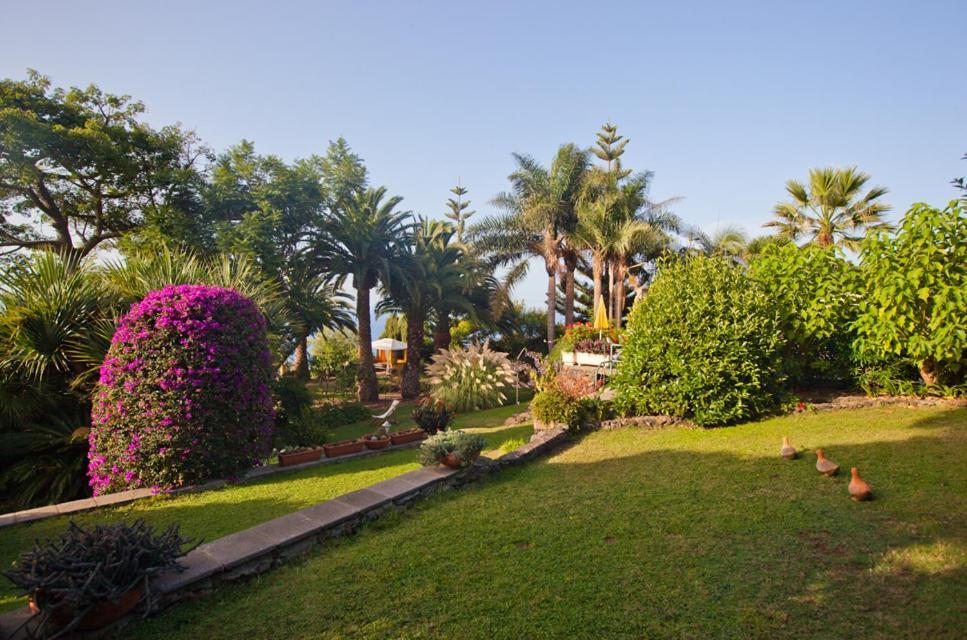 Отель Finca Casa Vieja Санта-Урсула Экстерьер фото